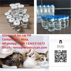 GS441524 injection 20mg/ml for Cat fip