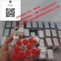 BPC 157 peptide vials 2