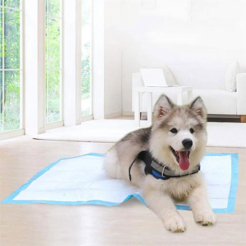 China Wholesale Dog Pet Training Pads Diaper Pet Training Pads
