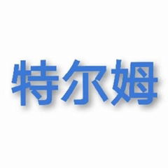 Torem Lifting Point (Tianjin) Technology Co.,Ltd