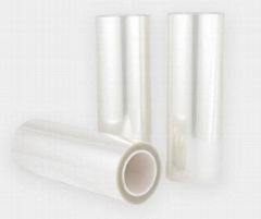 Y202D Matte PET Film