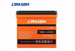 12V 60AH LIFEPO4 BATTERY