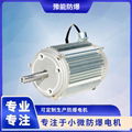 Brushless dc motor 2