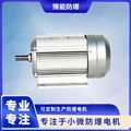 YBJY80 Motors for fuel dispensers