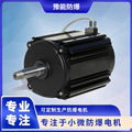 Special motor for DC brushless permanent magnet fan 2