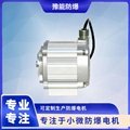 BS01 DC brushless permanent magnet motor for oil and gas recovery 1