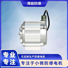 BS01 DC brushless permanent magnet motor for oil and gas recovery