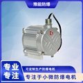BS01 DC brushless permanent magnet motor for oil and gas recovery 3