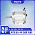 BS03 DC brushless permanent magnet motor for oil and gas recovery 1