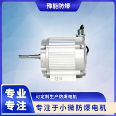 BS03 DC brushless permanent magnet motor for oil and gas recovery