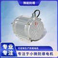 BS03 DC brushless permanent magnet motor for oil and gas recovery 2