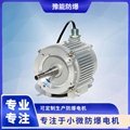 BS03 DC brushless permanent magnet motor for oil and gas recovery 3