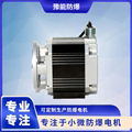 BS04 DC brushless permanent magnet motor