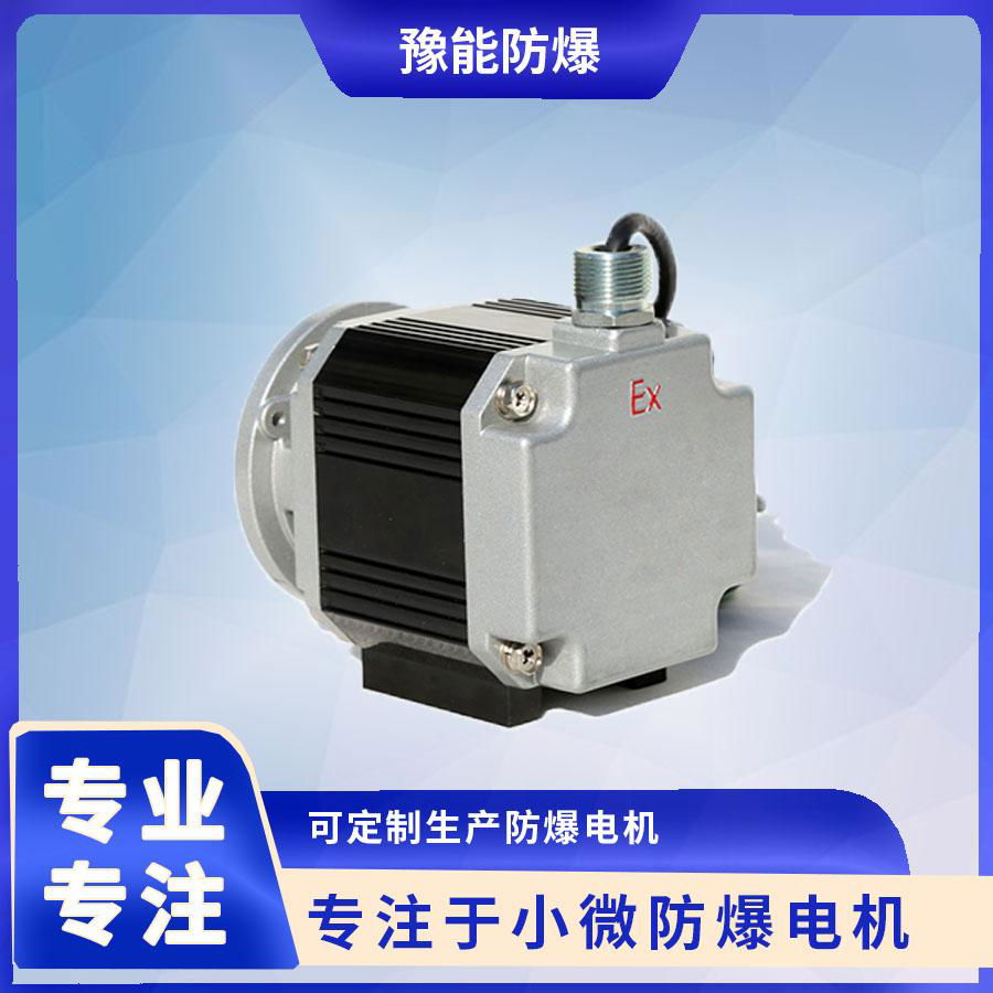 BS04 DC brushless permanent magnet motor for oil and gas recovery 2