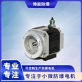 BS04 DC brushless permanent magnet motor for oil and gas recovery 3
