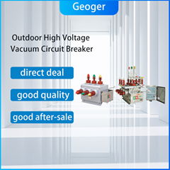 ZW10 12KV 630A Intelligent Dual Power High Voltage Vacuum Circuit Breaker 