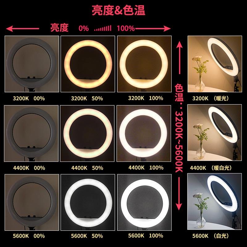 14/18/19/21 inch Led Selfie Ring Light with Adjustable Tripod Stand Live Streami 3