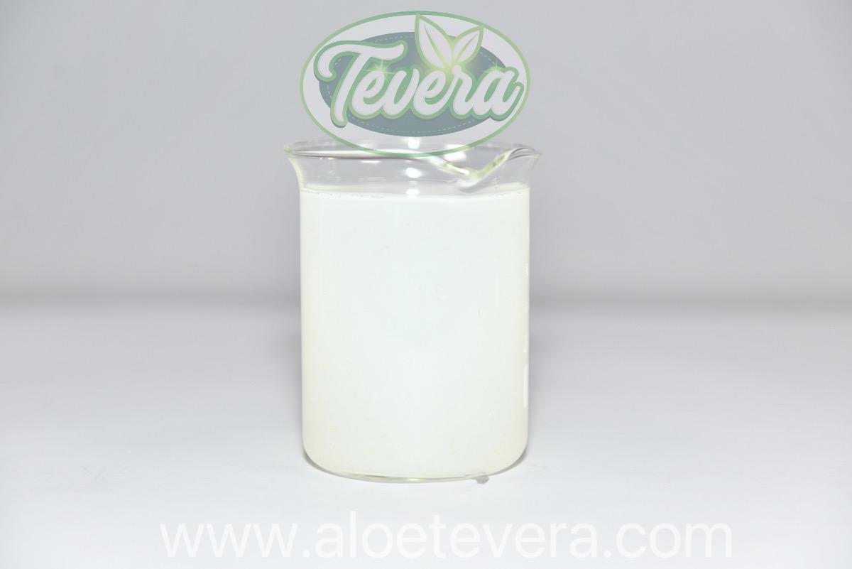 TEVERA ALOE Aloe Vera Gel Pulp Juice Conventional Organic Aseptic Bag