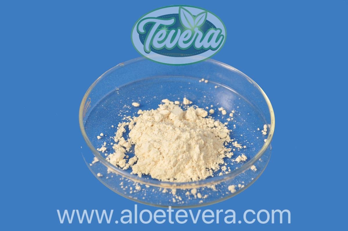 TEVERA ALOE  200: 1Aloe Vera Gel Freeze Dried Powder Conventional Organic