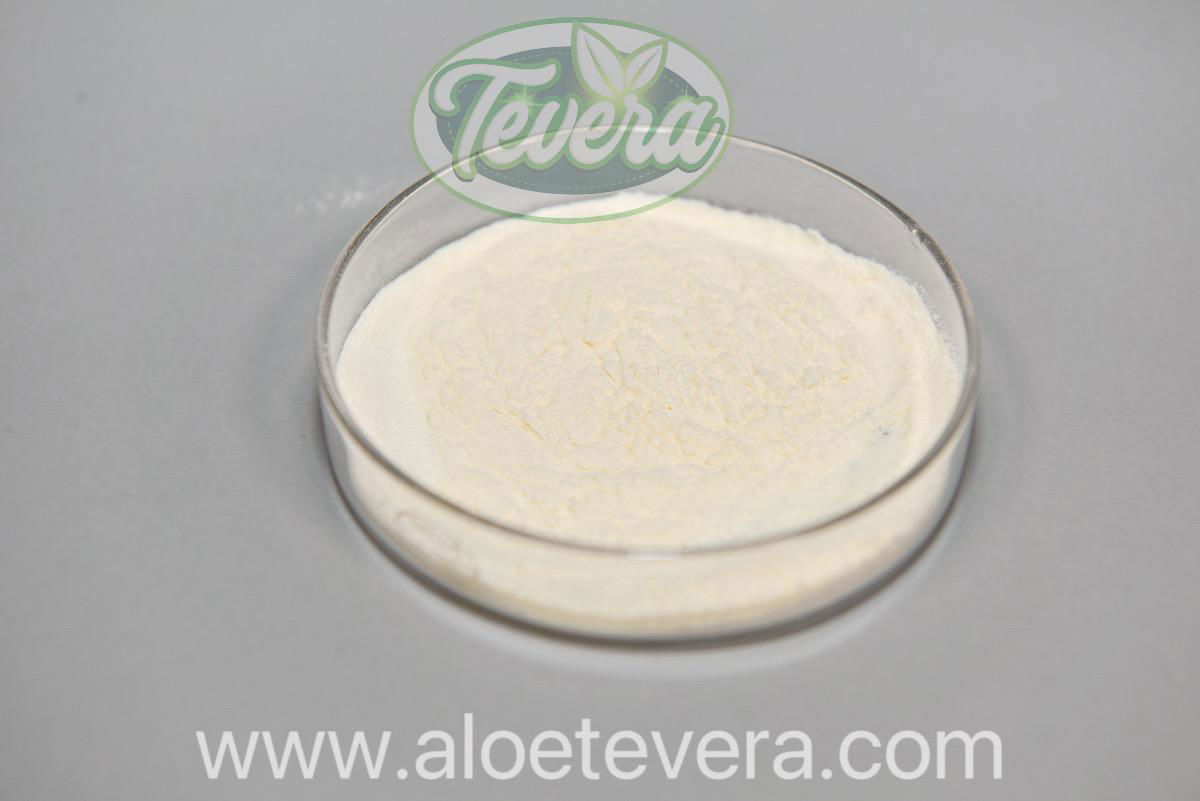 TEVERA ALOE 200:1Aloe Vera Barbadensis Gel Freeze Dried Powder (desalination) 
