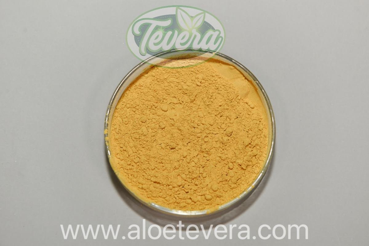 TEVERA ALOE 100:1 Aloe Vera Barbadensis Whole Leaf Freeze Dried Powder