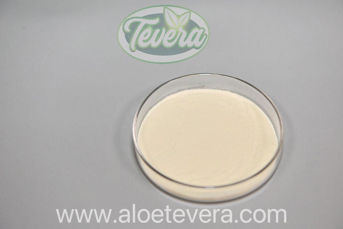 TEVERA ALOE 100:1 Aloe Vera Whole Leaf Freeze Dried Powder Decolorized 