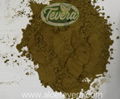 TEVERA ALOE Aloe Vera Refined Powder Conventional Organic Aluminum Foil Bag 