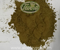 TEVERA ALOE Aloe Vera Refined Powder