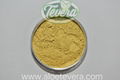 TEVERA ALOE Aloe Whole Leaf Bake-Dried Powder Conventional Organic