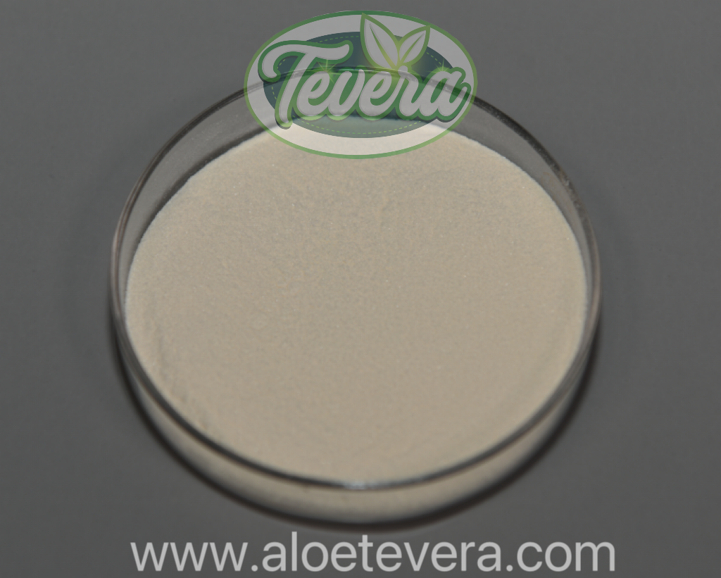 TEVERA ALOE 2000:1 Aloe Vera Gel Freeze Dried Powder Conventional Organic