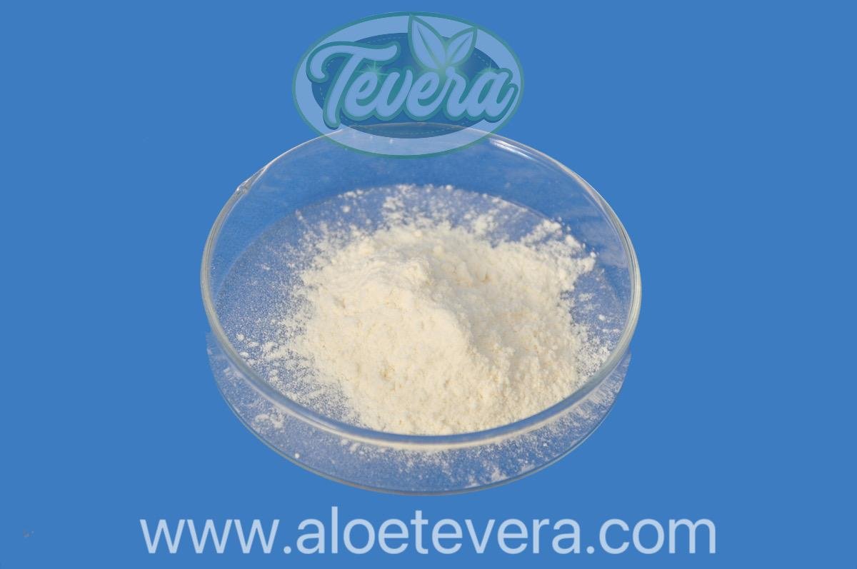 TEVERA ALOE 200:1 Aloe Vera Gel Spray Dried Powder Conventional Organic