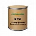 Natural Pigment Turmeric/Curcumin
