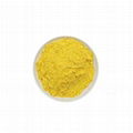 Natural Pigment Turmeric/Curcumin 2