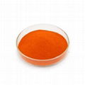 Food Coloring Beta Carotene 2