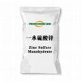 Zinc Sulfate Monohydrate 1