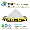 BMK Diethyl(phenylacetyl)malonate CAS 20320-59-6  1