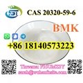 BMK Diethyl(phenylacetyl)malonate CAS 20320-59-6  2