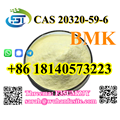 BMK Diethyl(phenylacetyl)malonate CAS 20320-59-6  3