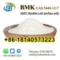 BMK Glycidic Acid (sodium salt) CAS 5449-12-7