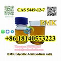 BMK Glycidic Acid (sodium salt) CAS 5449-12-7 4