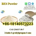 Hot Selling BK4 Powder CAS 236117-38-7 2-iodo-1-p-tolylpropan-1-one with 100% Sa