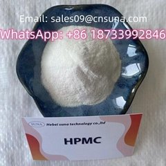 hydroxypropyl methylcellulose hpmc Chemical additives tile adhesive