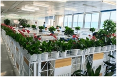 HDT SZ Co.,Ltd HDT SZ Co.,Ltd
