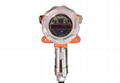 GD1000M Fixed Gas Detector 2