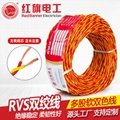 RVS 300/300V 聚氯乙烯绝缘（绞型）软电线