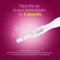 510K APPROVED ACCU NEWS® HCG Pregnancy Test Kit 5
