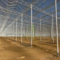 Natural Ventilation Greenhouse