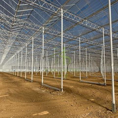 Natural Ventilation Greenhouse