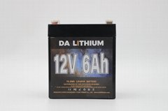 Dalithium battery