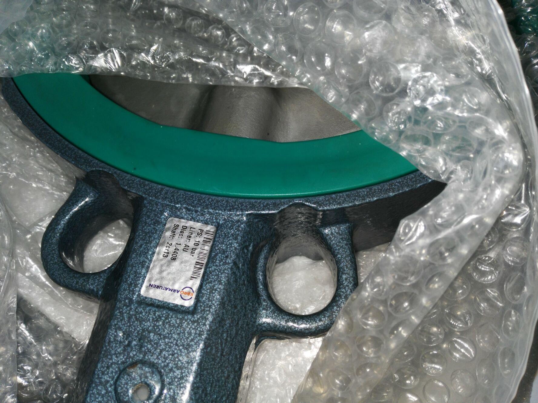 德国依博罗EBRO原装正品支耳式蝶阀Z414-A DN200 2